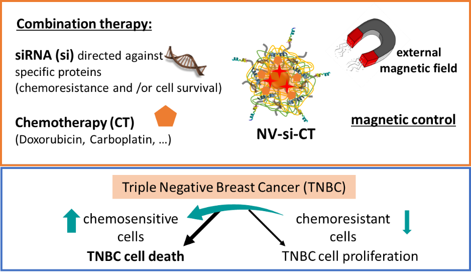 siRNA combination therapy